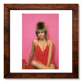 Tina Turner 12x12