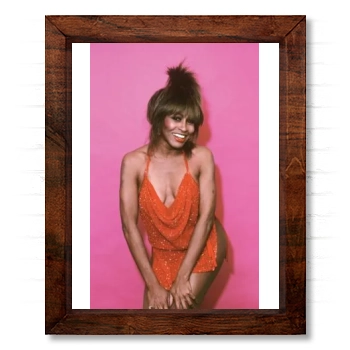 Tina Turner 14x17