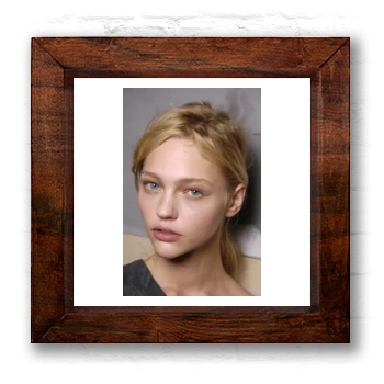 Sasha Pivovarova 6x6