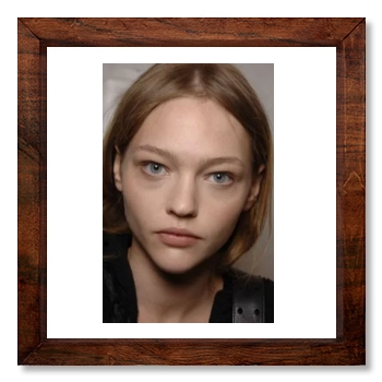 Sasha Pivovarova 12x12