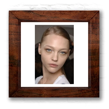 Sasha Pivovarova 6x6