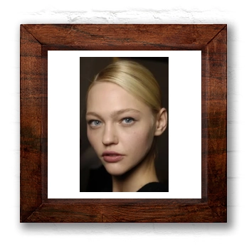 Sasha Pivovarova 6x6