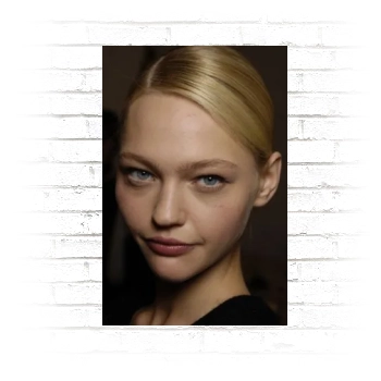 Sasha Pivovarova Poster