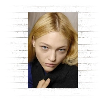 Sasha Pivovarova Poster