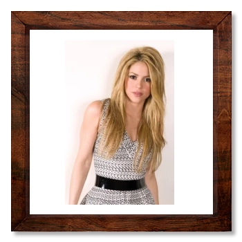 Shakira 12x12