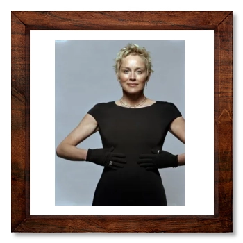 Sharon Stone 12x12