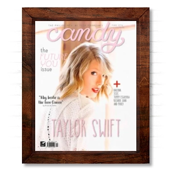 Taylor Swift 14x17