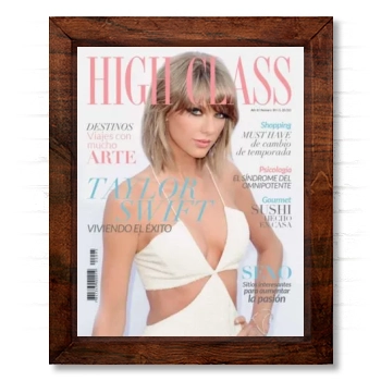 Taylor Swift 14x17