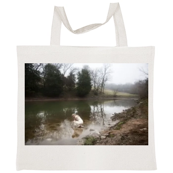 Taylor Swift Tote