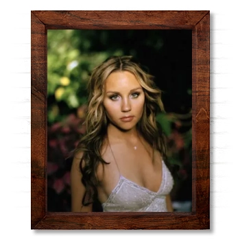 Amanda Bynes 14x17