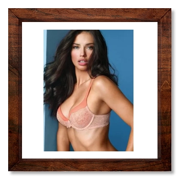 Adriana Lima 12x12