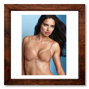 Adriana Lima 12x12