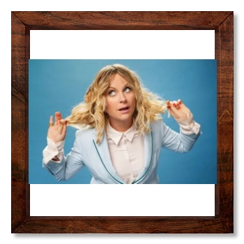 Amy Poehler 12x12