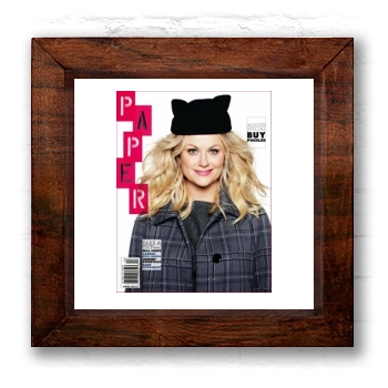 Amy Poehler 6x6