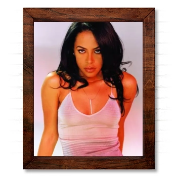 Aaliyah 14x17