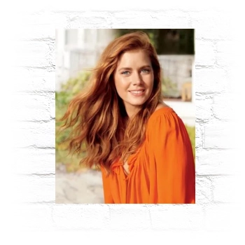 Amy Adams Metal Wall Art