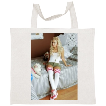 Ashley Tisdale Tote