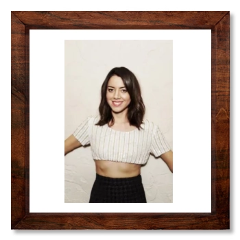 Aubrey Plaza 12x12