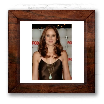 Sarah Wayne Callies 6x6