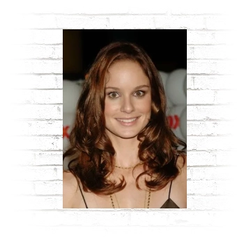 Sarah Wayne Callies Poster