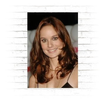 Sarah Wayne Callies Poster