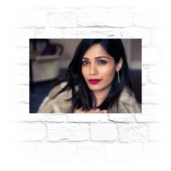 Freida Pinto Metal Wall Art