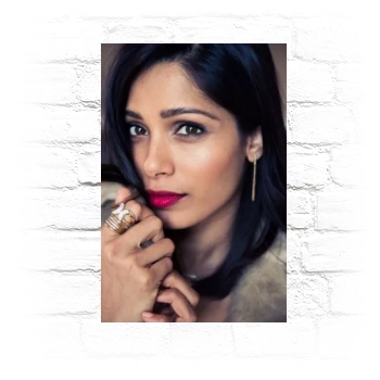 Freida Pinto Metal Wall Art