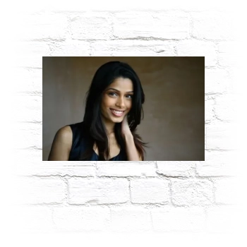 Freida Pinto Metal Wall Art