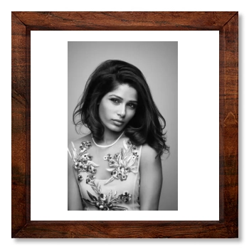 Freida Pinto 12x12