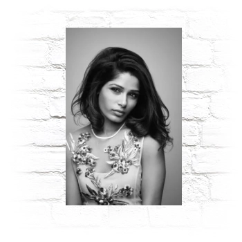 Freida Pinto Metal Wall Art