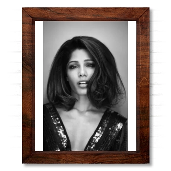 Freida Pinto 14x17