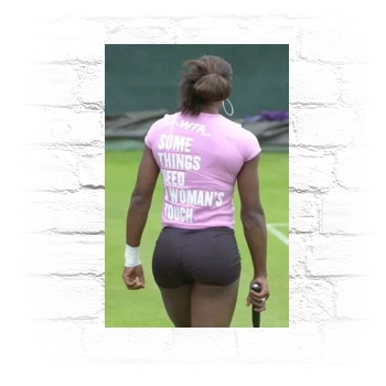 Serena Williams Metal Wall Art