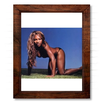 Serena Williams 14x17