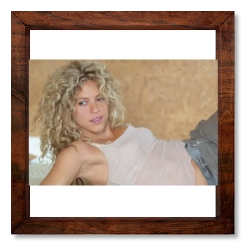 Shakira 12x12