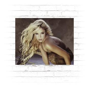 Shakira Poster