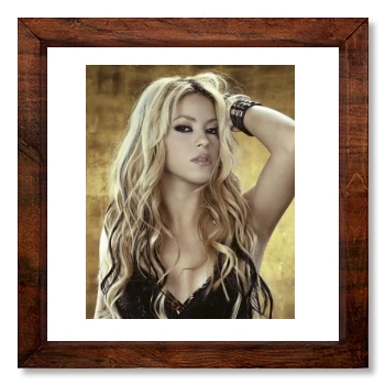 Shakira 12x12