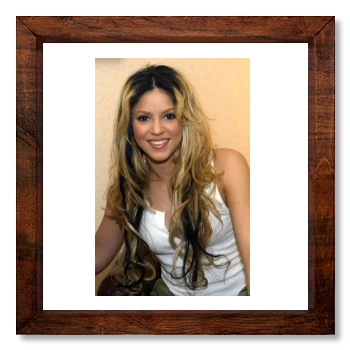 Shakira 12x12