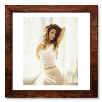 Shania Twain 12x12