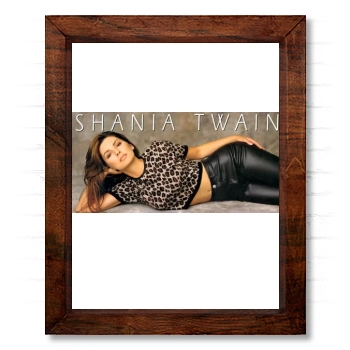 Shania Twain 14x17