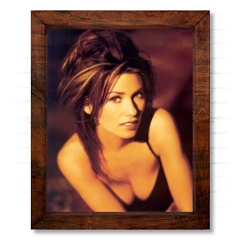 Shania Twain 14x17