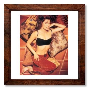 Shania Twain 12x12