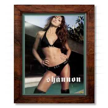 Shannon Elizabeth 14x17