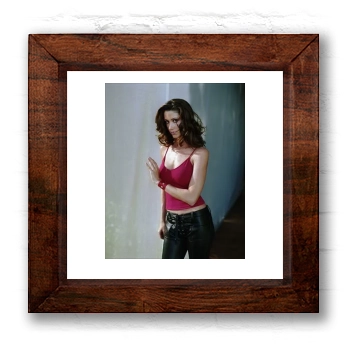 Shannon Elizabeth 6x6