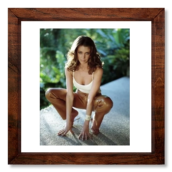 Shannon Elizabeth 12x12