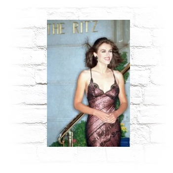 Elizabeth Hurley Metal Wall Art