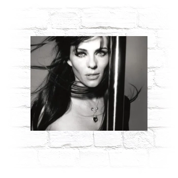 Elizabeth Hurley Metal Wall Art