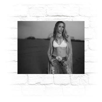 Sheryl Crow Metal Wall Art