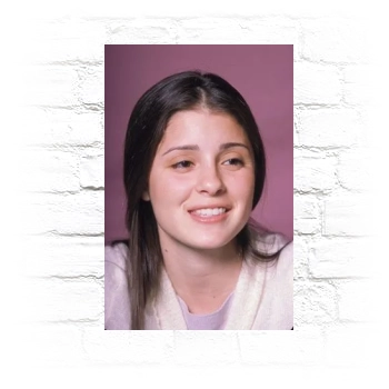 Shiri Appleby Metal Wall Art