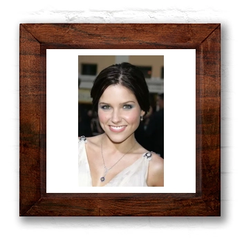 Sophia Bush 6x6