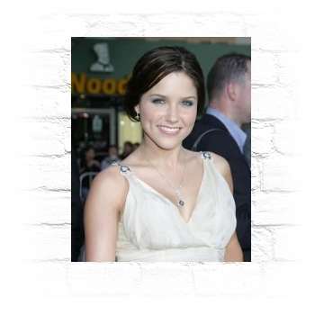 Sophia Bush Metal Wall Art